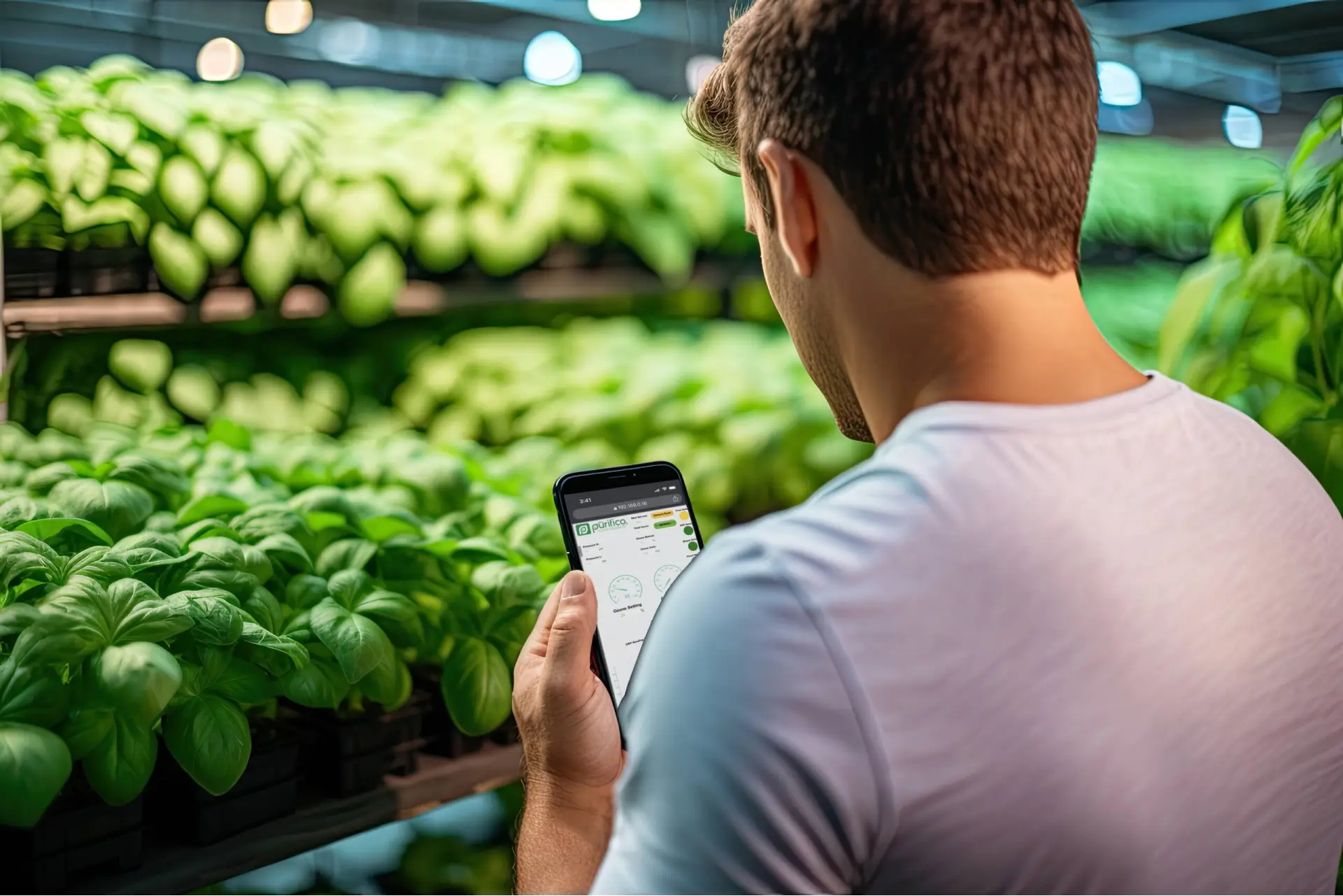 guy using his phone while buys plants