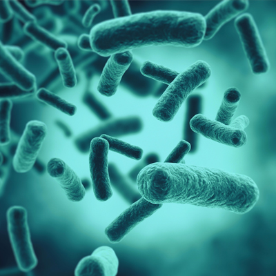 Microscopic organisms, or microbios, magnified under a microscope, showcasing their diverse shapes and structures, contributing to ecosystems and playing crucial roles in various biological processes.