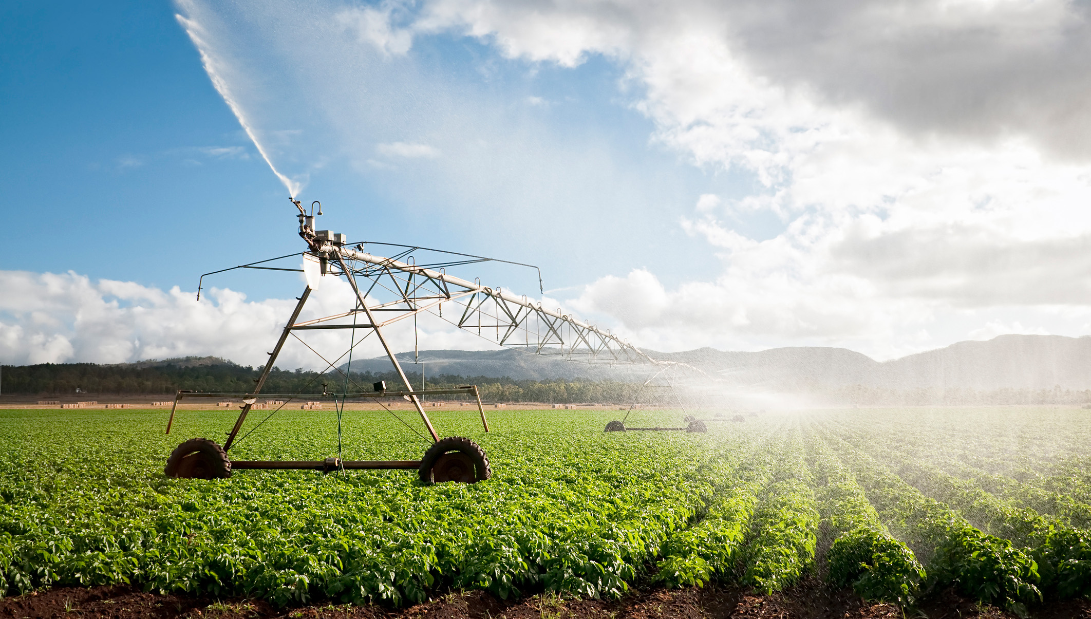 Large agricultural irrigation system spraying water across green crop fields under a bright blue sky with clouds and distant mountains in the background.