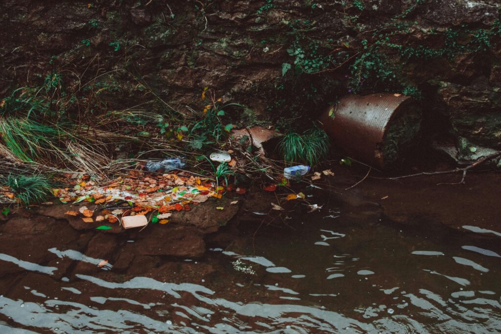 Polluted stream edge with litter, overgrown vegetation, and a rusty drainage pipe beside dark water.
