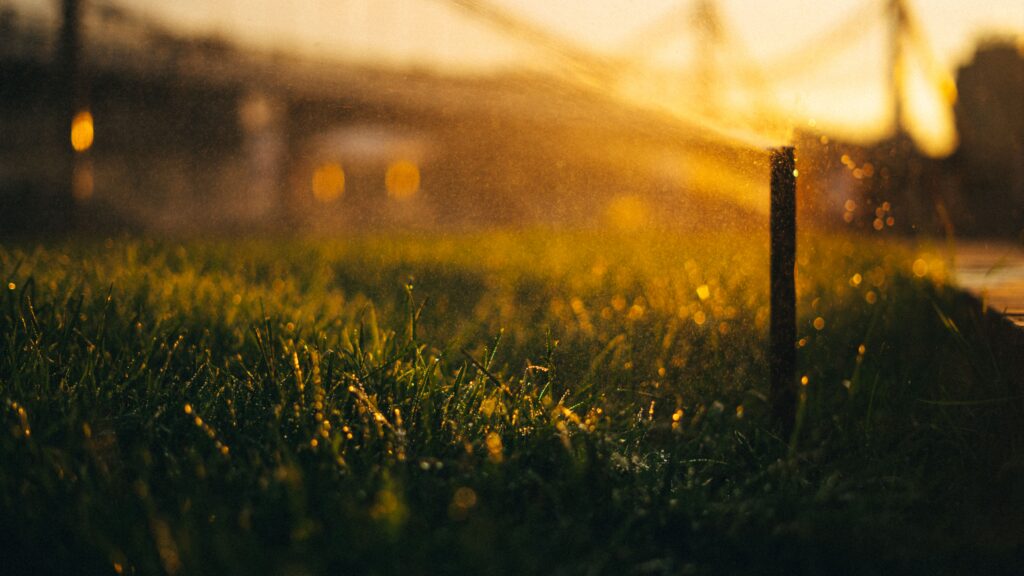 Sprinkler watering a lawn in warm golden sunlight.