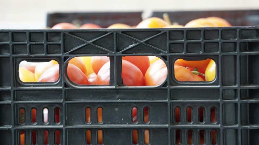 Black plastic crate filled with ripe red and yellow tomatoes at a produce market.